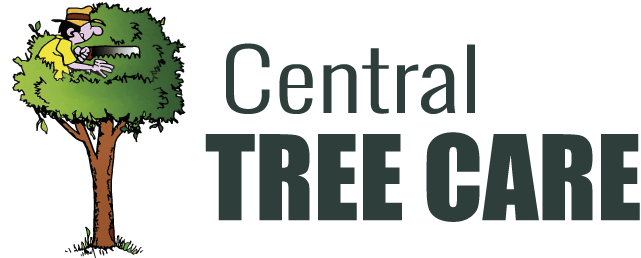Central Tree Care